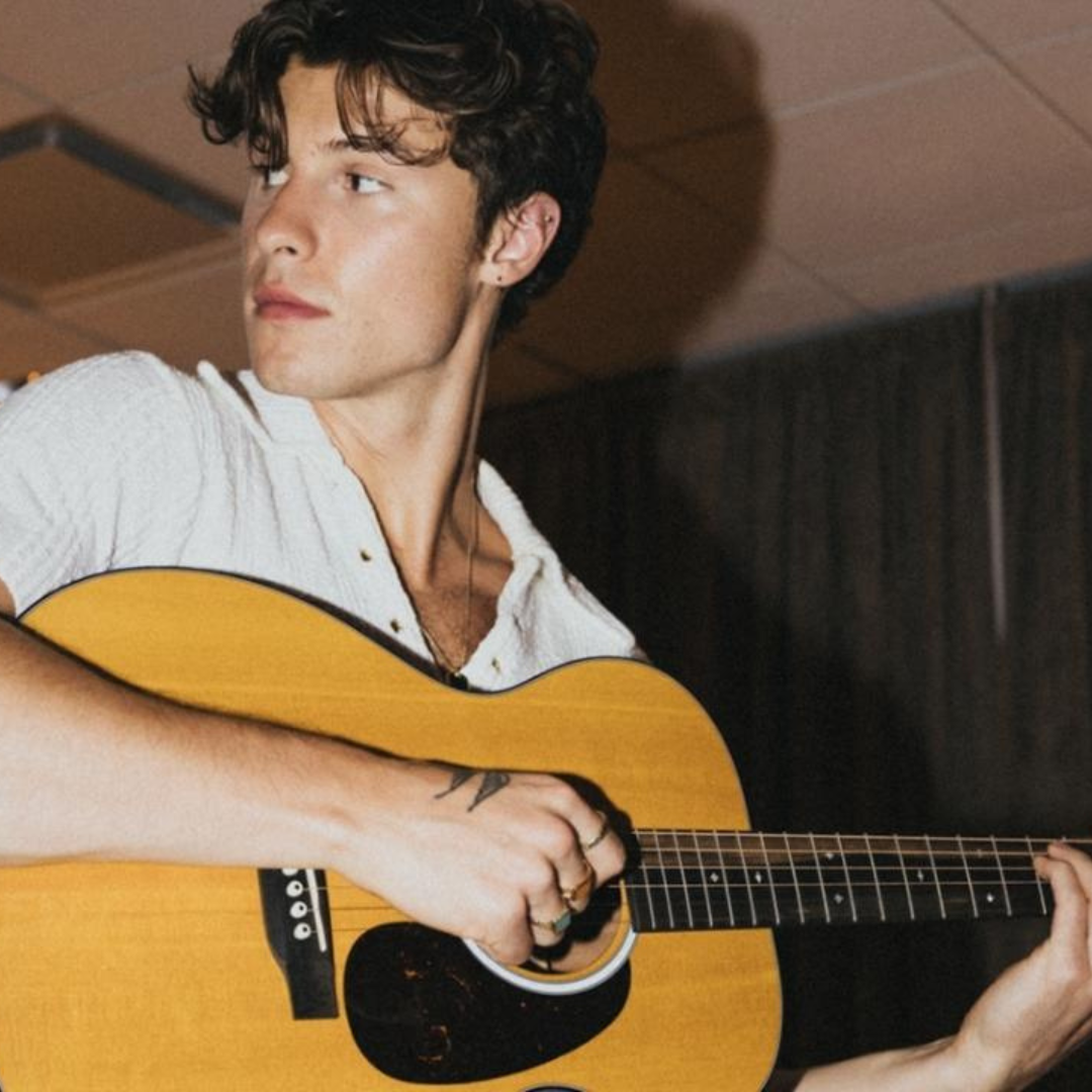 Shawn Mendes + Martin Guitar Launch A New FSC-certified Guitar | Forest ...